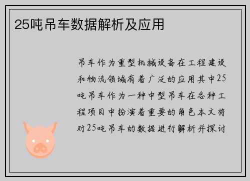 25吨吊车数据解析及应用